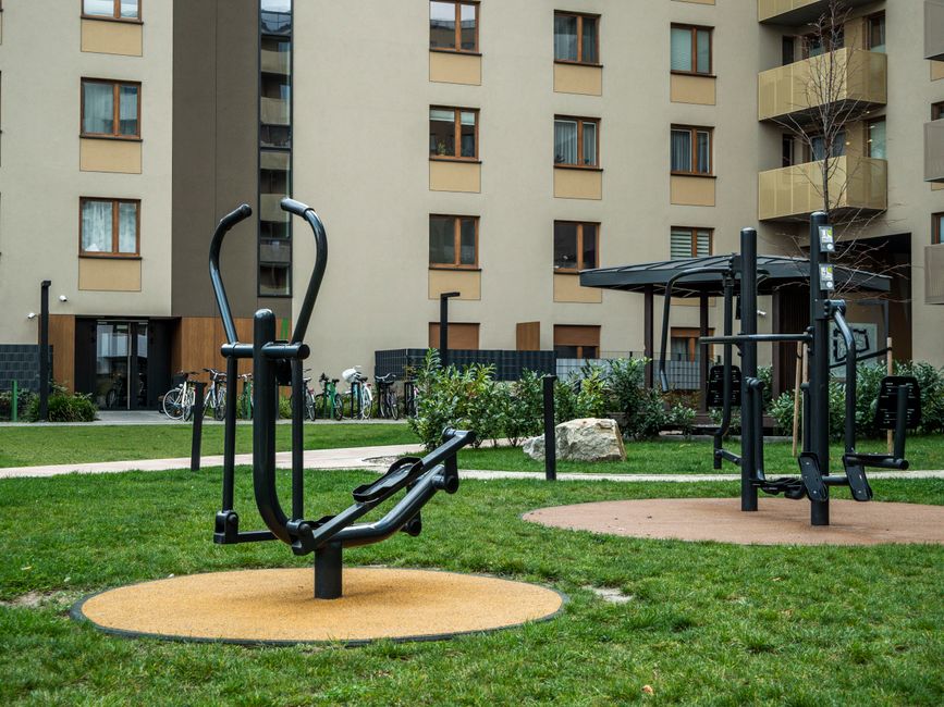 The History of the Gym as a Public Space