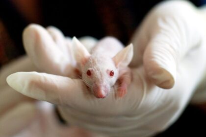 Why Scientists Still Don't Fully Understand Why We Sleep