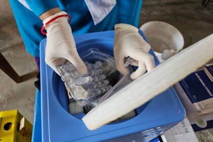 How Climate Shifts Might Redefine Malaria Risk Across Africa