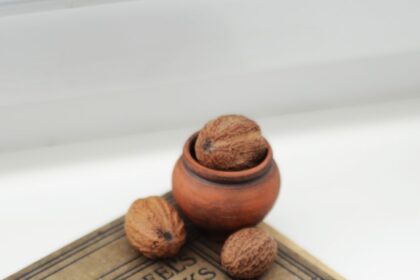 An antique cookbook lying open on a table beside a handful of walnuts